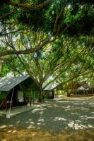 Mango Safari Camping Udawalawe - B&B