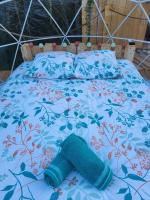Tenda