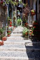 La casa al vicolo - Bed and Breakfast Paliano
