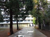 Bamboo Beach Tsikhisdziri LATTE - Ferienwohnung Zichisdsiri
