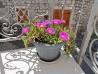 St Peter's Heritage House - Ferienwohnung Trogir