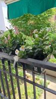 CasAnnamaria - B&B Chioggia