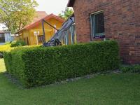 Ferienwohnung Mit Blick auf die Müritz - B&B Rechlin