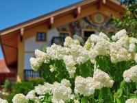 Moierhof - Chambres d’hôtes Gstadt am Chiemsee