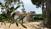 B&B Monstera SicilianExperience - Ferienwohnung San Corrado di Fuori