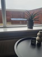 Grindavik Apartment - B&B Grindavik