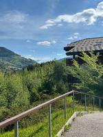 Appartement rénové au pied des pistes avec piscine, sauna, linge inclus et animaux acceptés - B&B Flumet