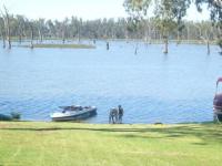 Bundalong Bliss - Bed and Breakfast Bundalong