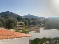 Casita Algarrobo - B&B