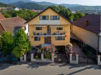 Vila Alina Calimanesti - Chambres d’hôtes Călimăneşti