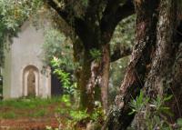 Quinta do Cerquito - B&B