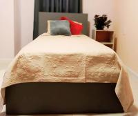 Dolfijn Studios - B&B Paramaribo