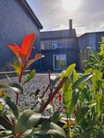 Chez Camil - B&B La Roche-en-Ardenne