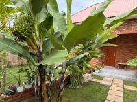 Baraka Home - B&B
