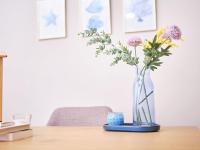 Zorrilla - by Wehomes - B&B Santander