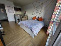 Studio avec parking gratuit - B&B Saint-Etienne