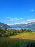 Vintage Lake View Villa with Outdoor Pool - Bed and Breakfast Spiez