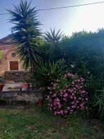 Grote Tweepersoonskamer