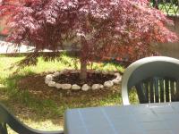 Casa Bruno B&B - B&B Mondovì