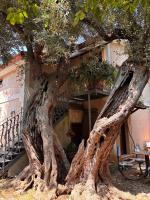 VILLINO TROCCOLI, Appartamento Alice - Ferienwohnung Marina di Camerota