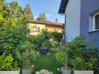 Rose 8 Bled - B&B Bled