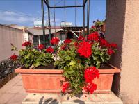 sant'orsola holiday home - B&B