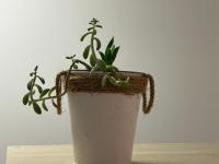 Chambre Double Économique