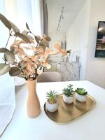 Apartament Dominikanski - B&B Racibórz