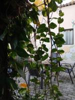 Cabana e Hospedaria La Casita ``MALOCA`` - B&B Navegantes