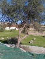 Fodor - Bed and Breakfast Avola