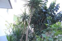 B&B Mimosa - Bed and Breakfast