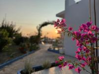 Modern Stay with Garden, near Tigaki Beach - El Greco Apartments No 2 - B&B Tigaki
