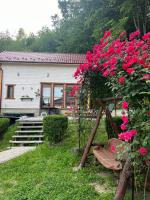 Карпатська Модрина - B&B Kosiv