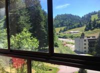 Le Chitelet, vue montagne appt 215 - B&B La Bresse