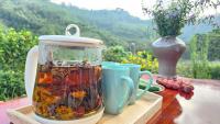 Sao Farmstay - Chambres d’hôtes Thị Trấn Na Hang