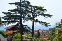 La Pergola Blu - B&B Alassio