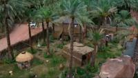 كوخ بيت نخله - B&B Al-`Ula