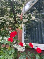 Studio-like room with own entrance - Ferienwohnung Parkstone