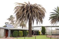 Livingwaters Self-Catering Accommodation - B&B Ermelo