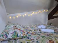 Bords de Loire - Climatisé - 4 personnes - Hypercentre Orléans - Chambres d'hôtes Orléans
