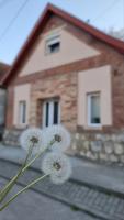 Pitypang Vendégház Dorog - B&B
