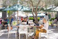 Hotelet Can Oms Mozart by Rentallorca - Ferienwohnung Petra