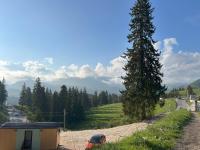 Le Virage Lodge - Bed and Breakfast Dâmbovicioara
