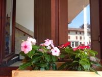 Luce del Mattino - B&B San Vito al Tagliamento