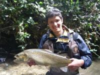 Paradise Valley Getaway - Farm Cottage with Stream - B&B Tarukenga