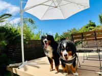 Kanae - Vacation STAY 96254v - B&B Tateyama