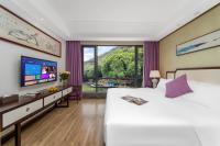 Camera Queen Standard