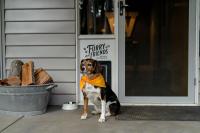 The Duckling - Bed and Breakfast Glenlyon