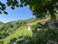 Ferienhaus Denise Harz - B&B Sankt Andreasberg