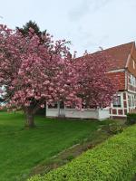 Gasthaus zur Grenze - Bed and Breakfast Cuxhaven